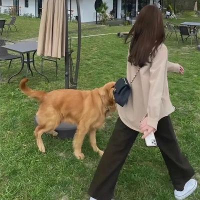 兵捉贼